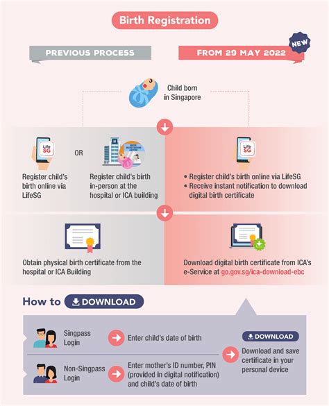 what is a birth registration.